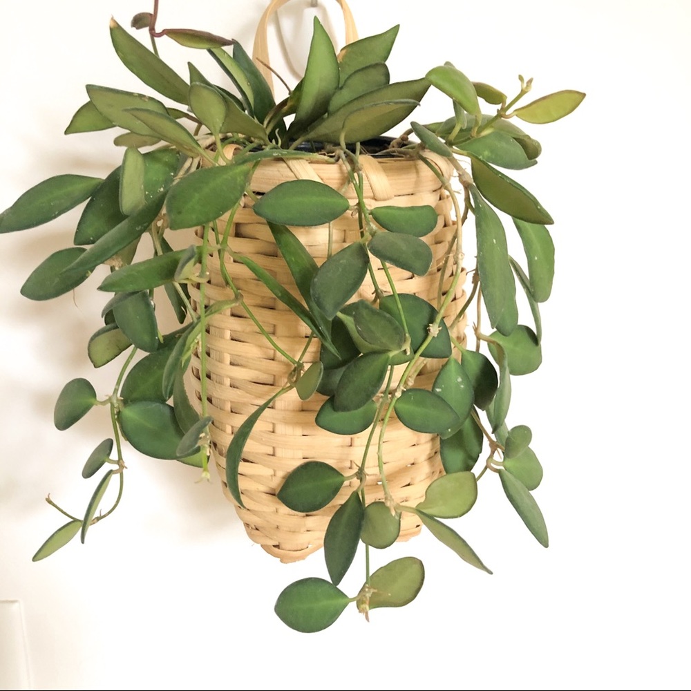Handmade basket natural wicker oblong
